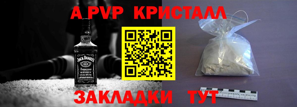 Alfa_PVP СК Урус-Мартан