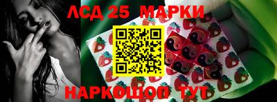гидропоника Пенза